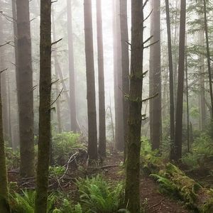 Meet your Posher, Leanna